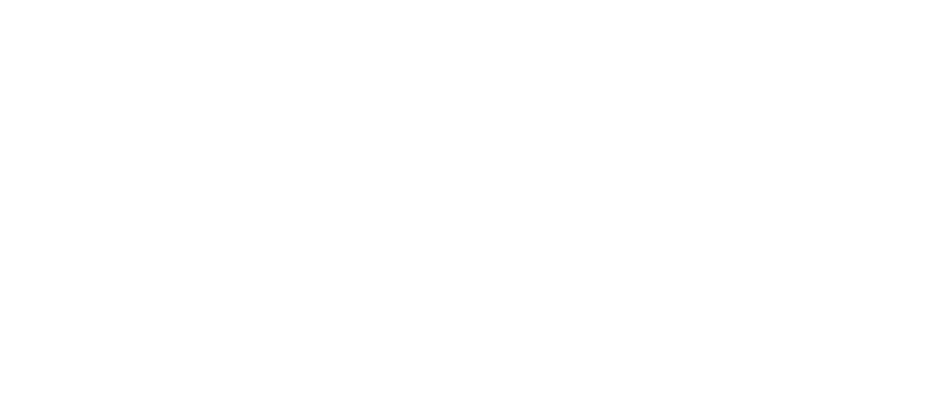 Digi Woman logo